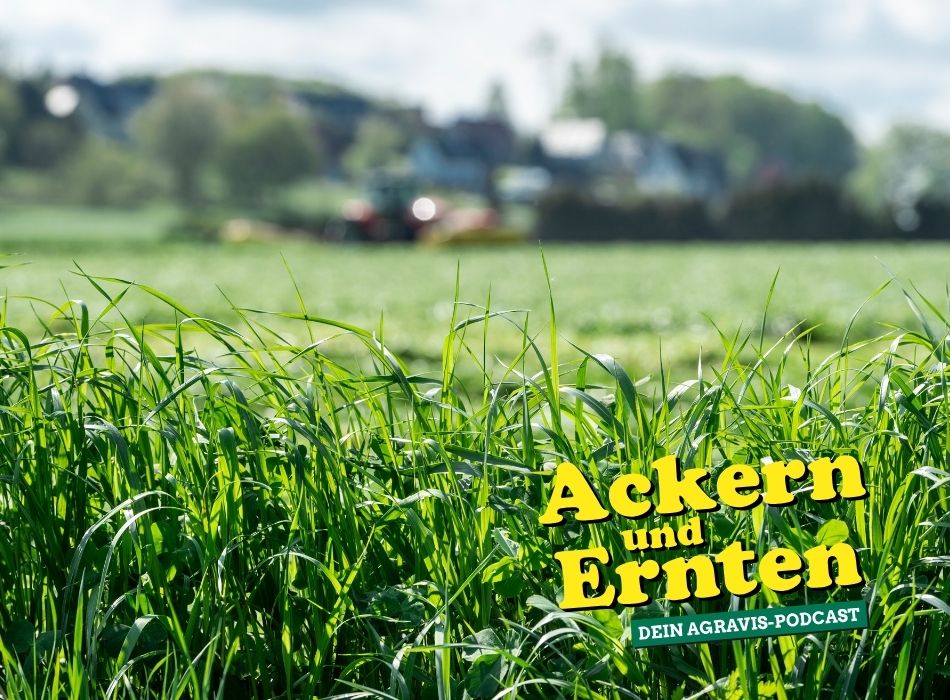 (Die Bildrechte liegen bei dem Verfasser der Mitteilung.)