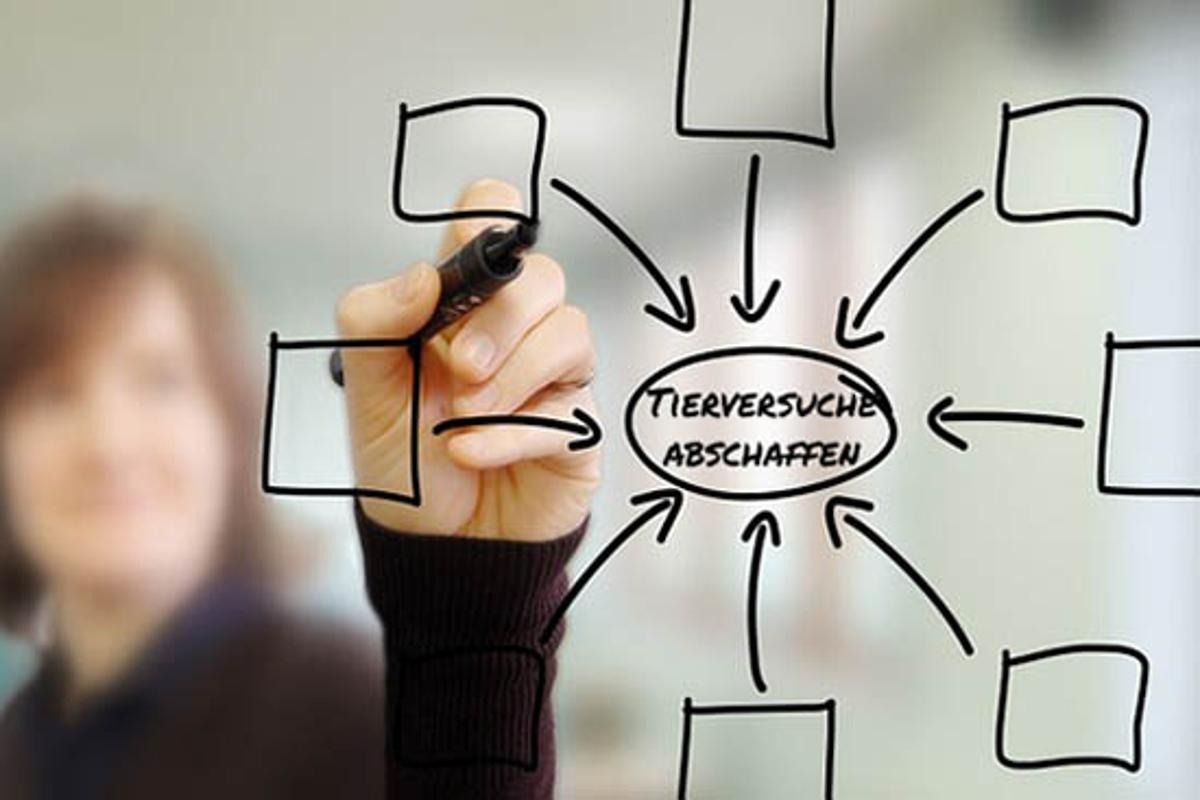 Symbolbild (© Ärzte gegen Tierversuche e.V.)