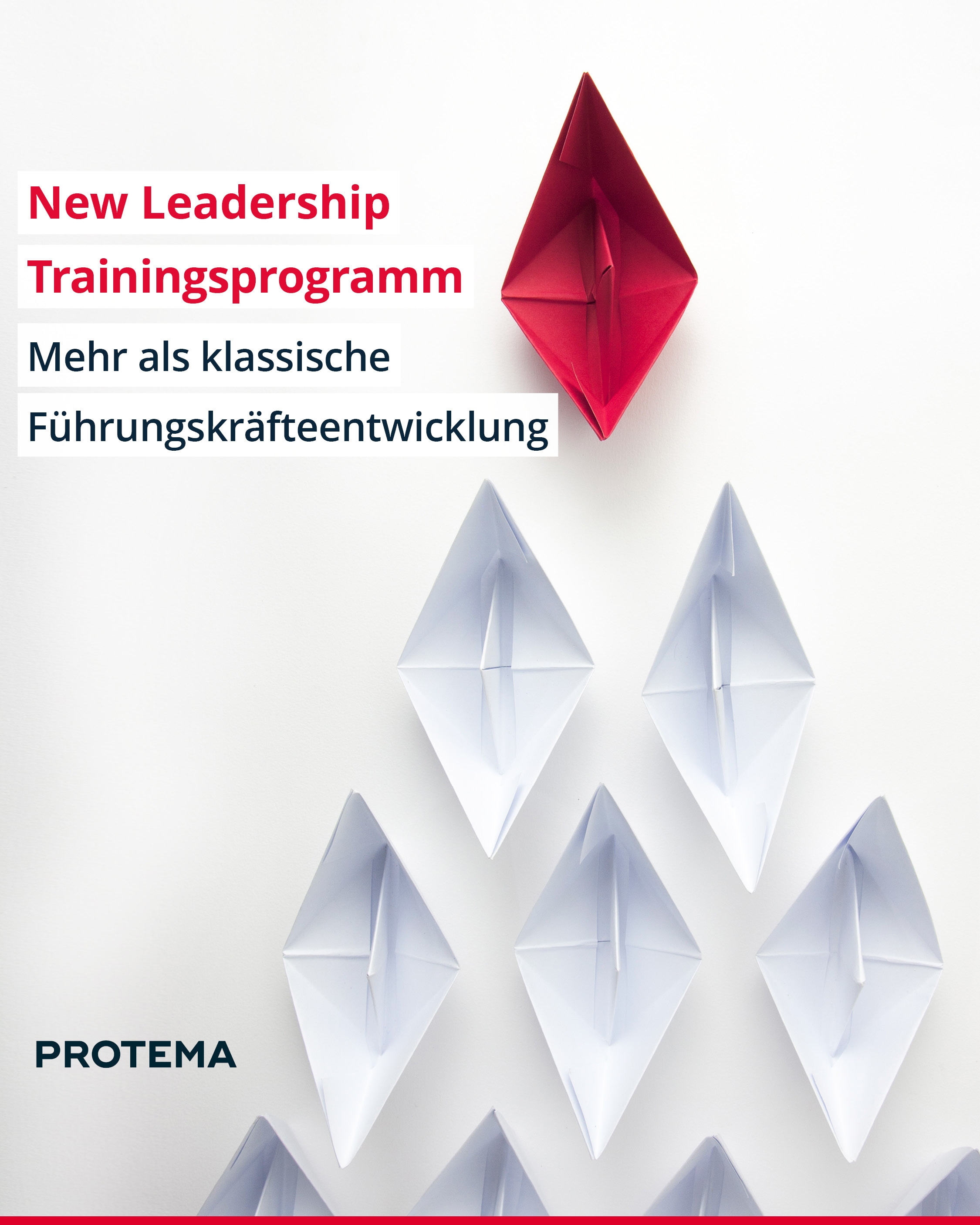 Führungskräfteentwicklung und Coaching fördern Eigenverantwortung, Resilienz und Zusammenarbeit. (Bildquelle: PROTEMA Unternehmensberatung GmbH)