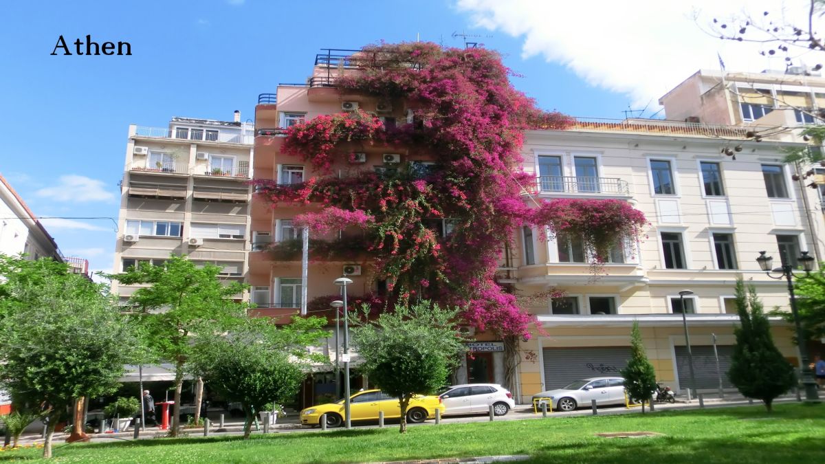 Athen im Frühling (© Frank Walter)