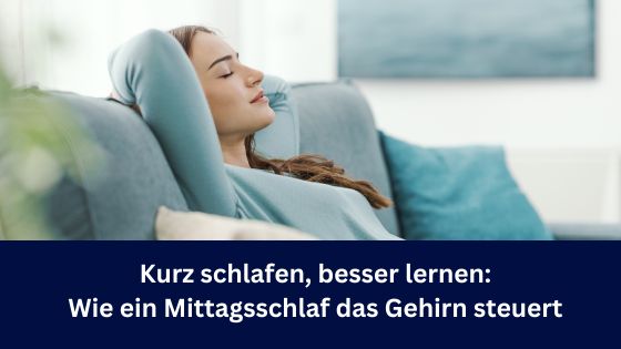 Kurz schlafen, besser lernen: Wie ein Mittagsschlaf das Gehirn neu startet (Die Bildrechte liegen bei dem Verfasser der Mitteilung.)