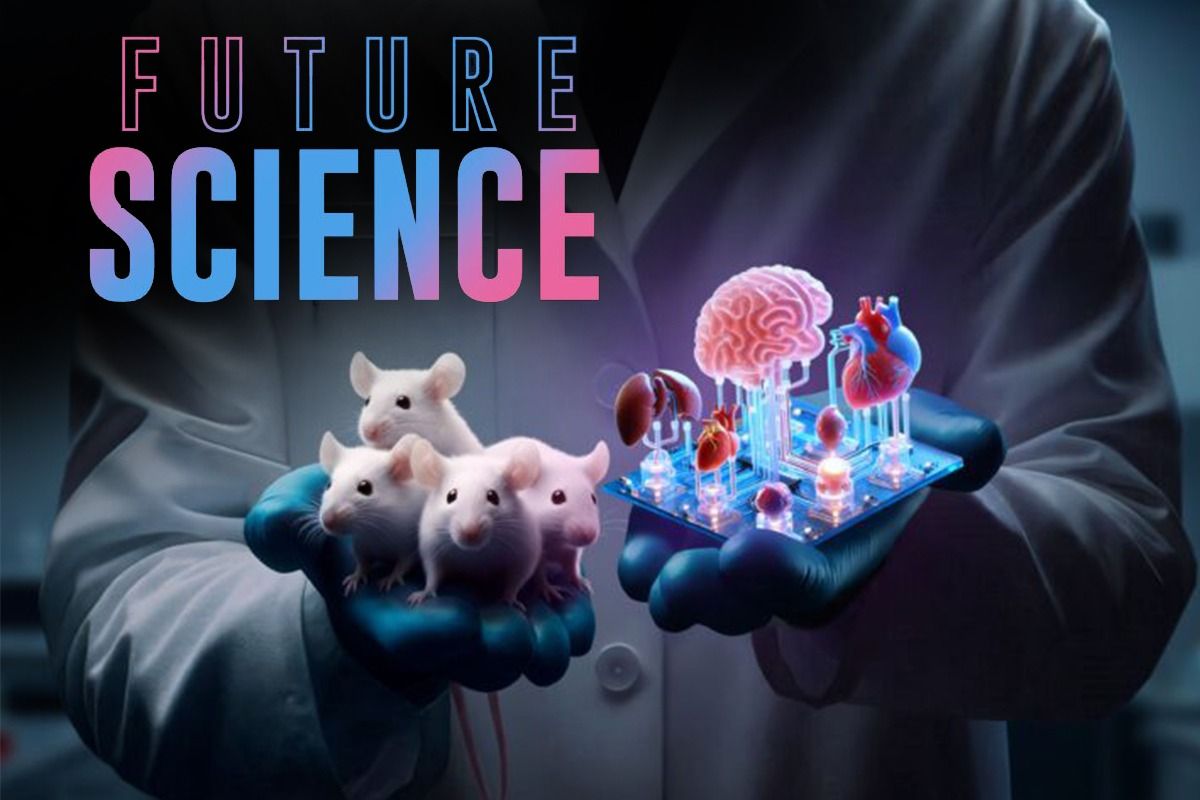 Visual des Films (© Marc Pierschel)