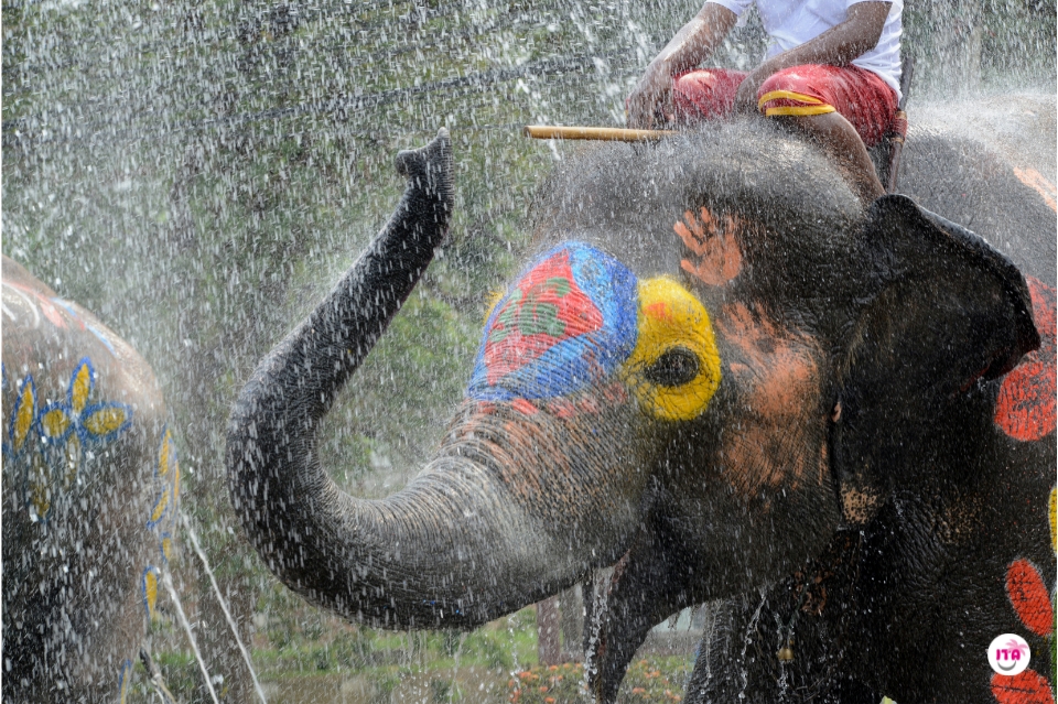 Songkran Wasserfest (Die Bildrechte liegen bei dem Verfasser der Mitteilung.)