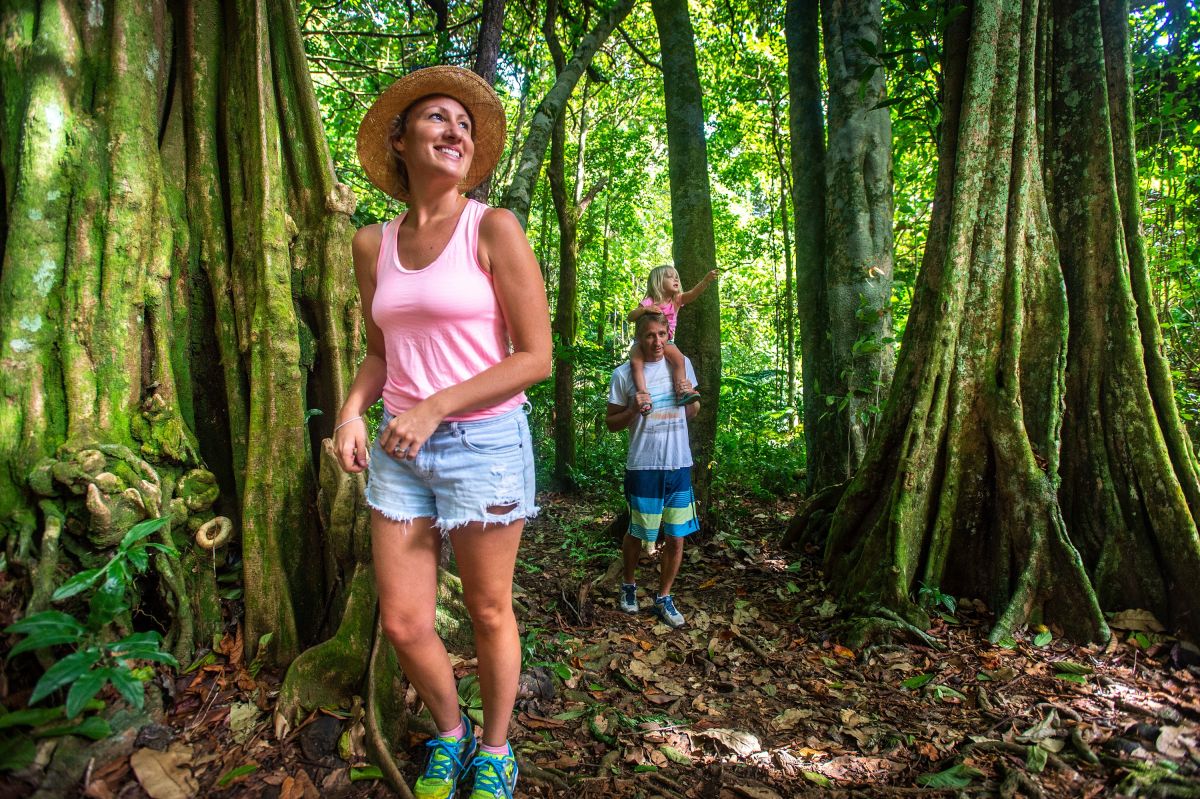 Dichte tropische Regenwälder auf Atiu (© ©Kirklandphotos)