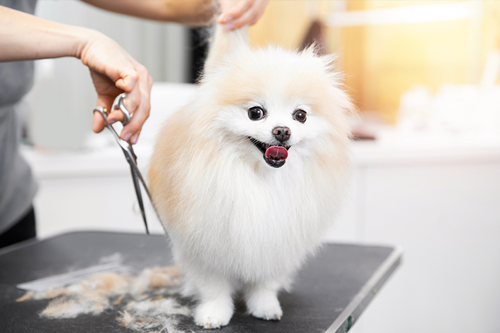 Lohn- und Anfahrtskosten sind bei haushaltsnahen Dienstleistungen absetzbar (Bildquelle: Parilov/stock.adobe.com)