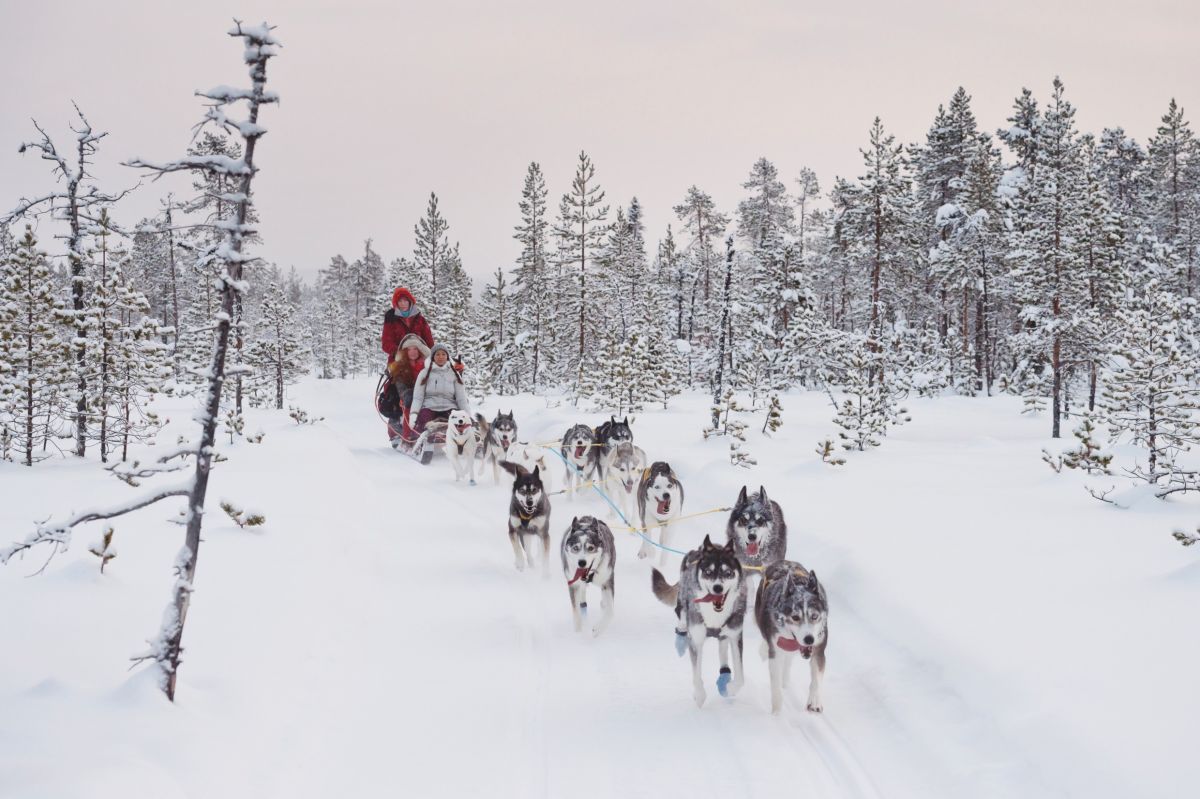 Mit nordic holidays zu Silvester nach Lappland (© Foto nordic holidays / Anna Öhlund sweden.se)