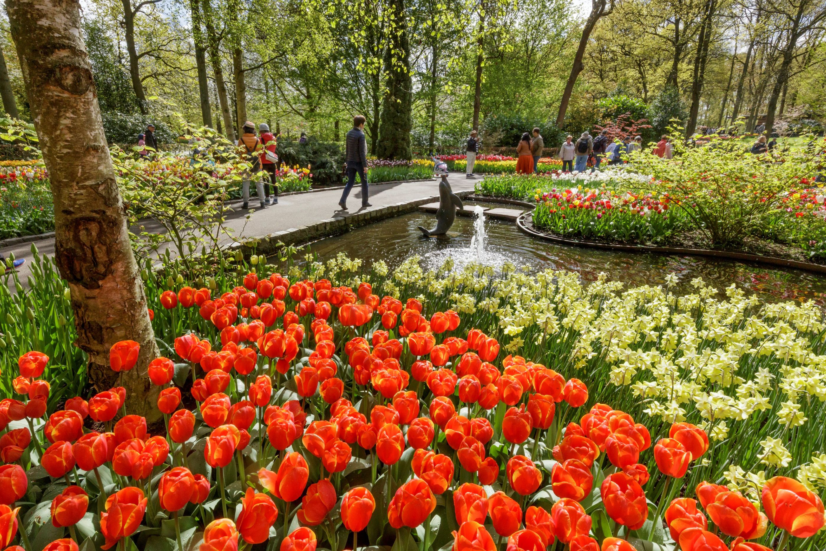Rote Tulpen und Fontaine in Keukenhof (Bildquelle: Laurens Lindhout)