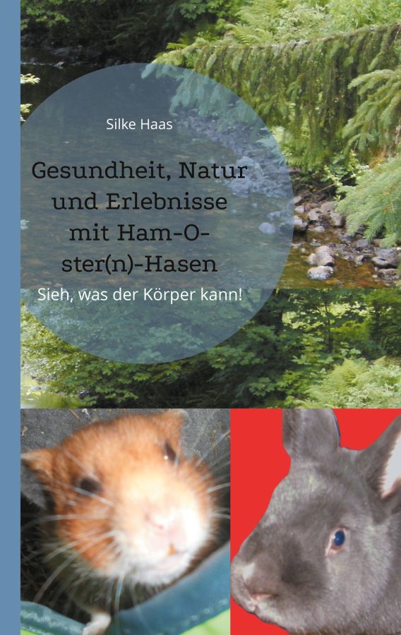 Buchcover (© Verlag BoD)