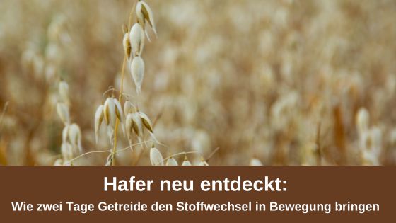 Hafer neu entdeckt: Wie zwei Tage Getreide den Stoffwechsel in Bewegung bringen (Die Bildrechte liegen bei dem Verfasser der Mitteilung.)
