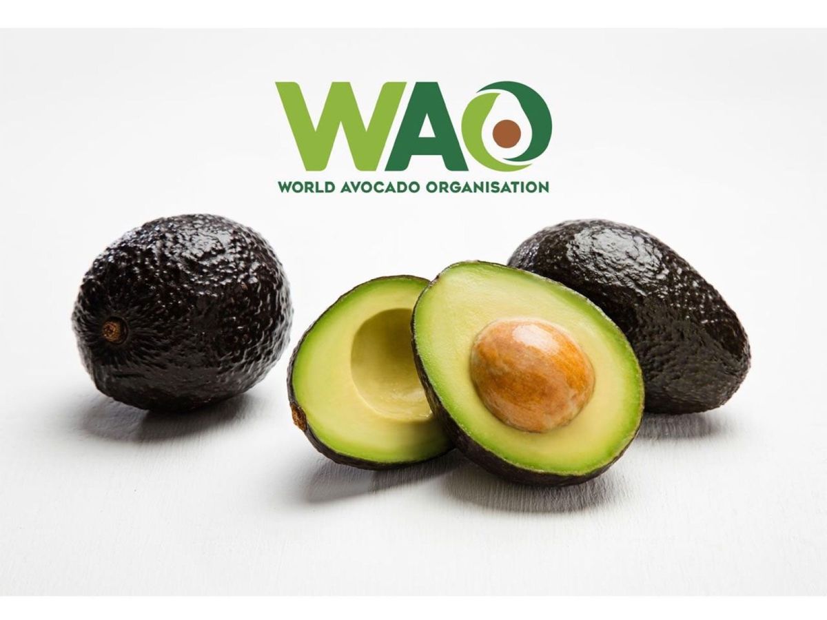Rezepte World Avocado Organisation (© World Avocado Organisation)