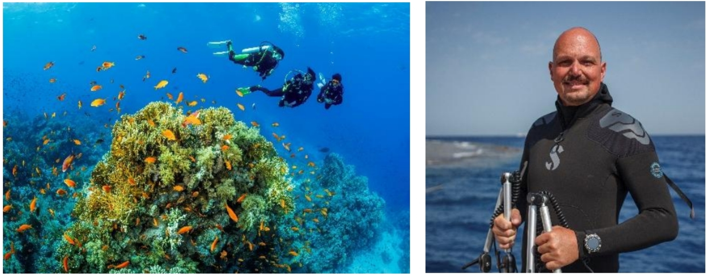 (c) The Nautilus Maldives