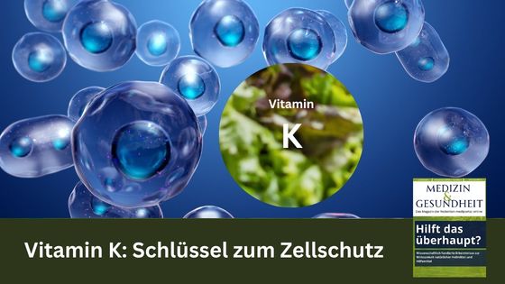 Vitamin K: Schlüssel zum Zellschutz (Die Bildrechte liegen bei dem Verfasser der Mitteilung.)