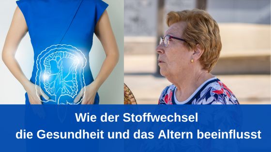 Wie der Stoffwechsel die Gesundheit und das Altern beeinflusst (Die Bildrechte liegen bei dem Verfasser der Mitteilung.)