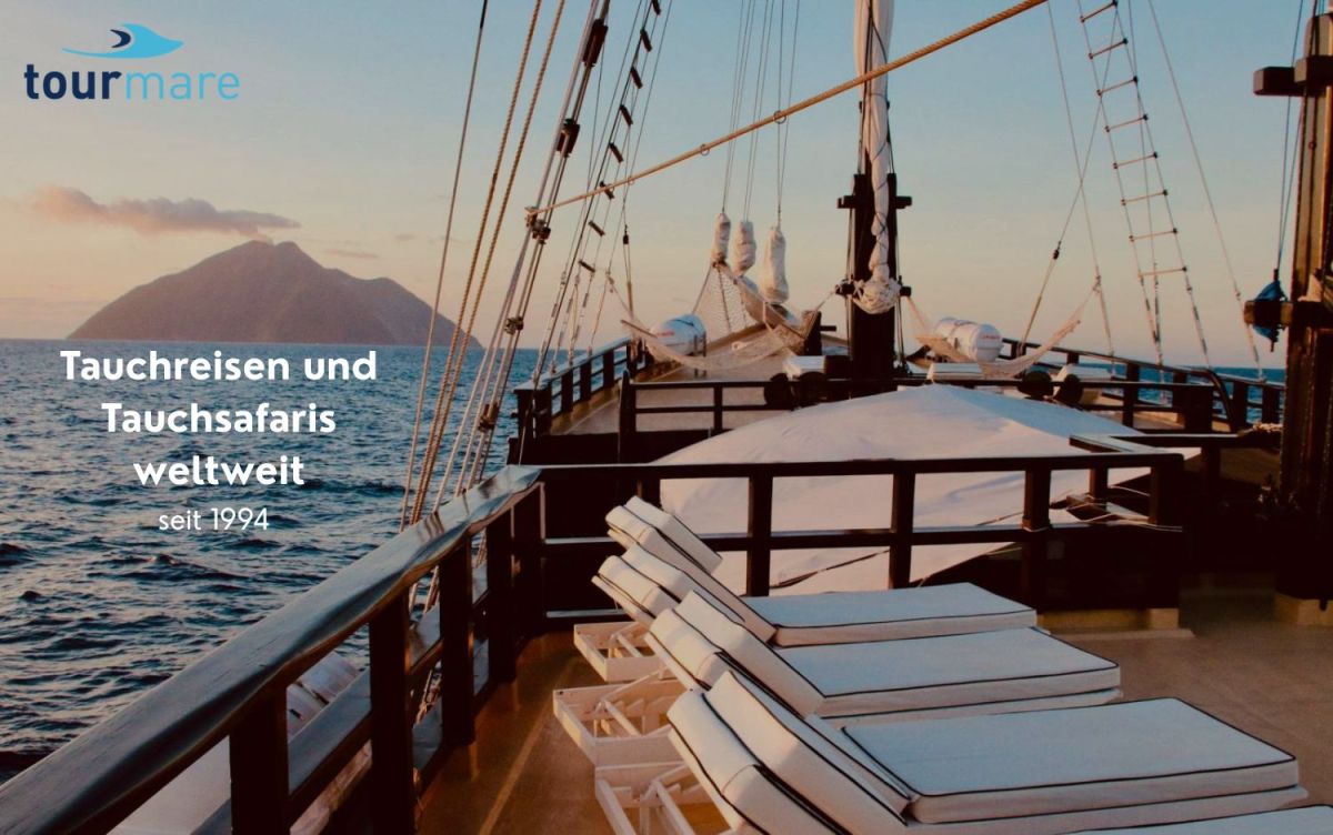 tourmare startet neuen Tauchsafari-Shop (© tourmare)