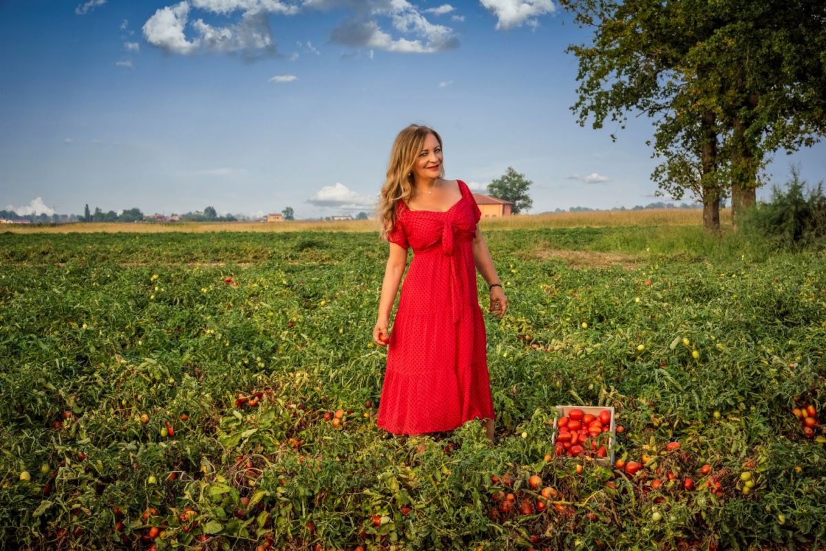 Ende August ist Erntezeit in der Emilia-Romagna und Jahresproduktion der Salsa Paradiso Tomatensauce (© Hermina Deiana)