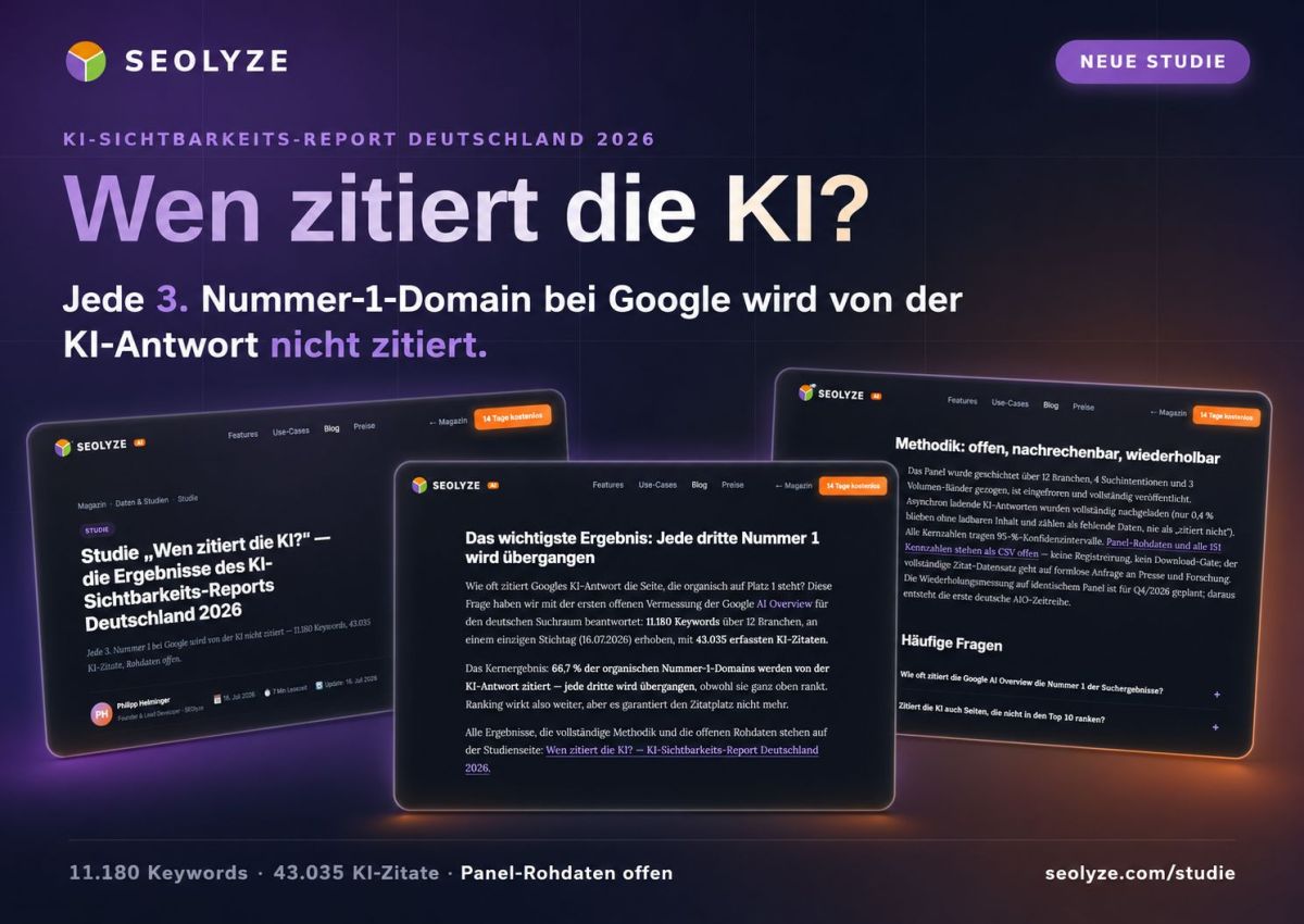 SEOlyze ermöglicht Unternehmen ihre Präsenz in modernen Suchsystemen zu prüfen und zu optimieren (© SEOlyze.de)