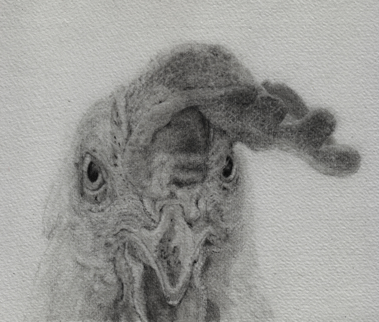 AgroHuhn von Kim Kruse @kruseatelier.it