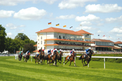 Baden Racing richtet 2010 die Grosse Woche in Iffezheim aus. Baden Racing richtet 2010 die Grosse Woche in Iffezheim aus.