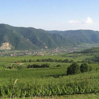 Die Region Wachau in Österreich bietet für Sportler viel Abwechslung