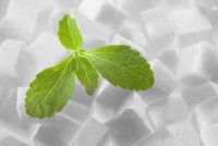 Stevia-Pflanze_blackcat/fotolia.com Stevia-Pflanze_blackcat/fotolia.com