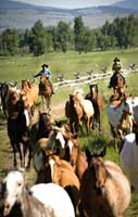 Cowboyleben - The Ranch at Rock Creek - Buchungskontakt www.artoftravel Cowboyleben - The Ranch at Rock Creek - Buchungskontakt www.artoftravel