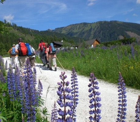 Früchtefasten und Wandern 1000 Meterüber dem Alltag Früchtefasten und Wandern 1000 Meterüber dem Alltag