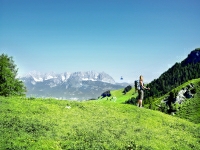 Wandern mit Blick auf den Wilden Kaiser (©medialounge) Wandern mit Blick auf den Wilden Kaiser (©medialounge)