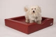 Hundebett-Hundekorb-Hundezubehör Hundebett-Hundekorb-Hundezubehör