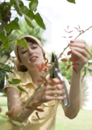 Im Garten, Copyright by Novartis Consumer Health GmbH Im Garten, Copyright by Novartis Consumer Health GmbH