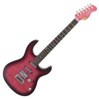 Shaman JPM Standard (Trans Purple Sunburst)