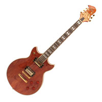 Dreambow DH-713 E-Gitarre Dreambow DH-713 E-Gitarre