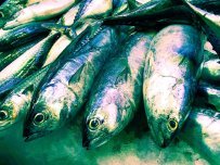 Fisch während der Schwangerschaft für eine gesunde Entwicklung des Babys/ Quelle: Photocase Fisch während der Schwangerschaft für eine gesunde Entwicklung des Babys/ Quelle: Photocase
