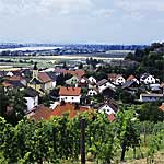 Bach a. d. Donau