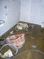 Überschwemmter Kellerraum nach einem Unwetter