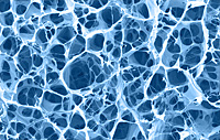 Rasterelektronenmikroskopischen Aufnahme (REM) der von der Dr. Suwelack Skin & Health Care AG entwic Rasterelektronenmikroskopischen Aufnahme (REM) der von der Dr. Suwelack Skin & Health Care AG entwic