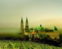 Blick auf Stift bei Nebel 