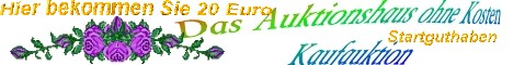 Ihr schnäppchen gibt es bei Kaufauktion.eu