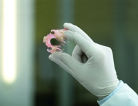 Die hohe Flexibilität resultiert in einer hohen Bruchfestigkeit des Valplast Zahnersatzes.