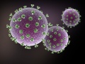 Aidsvirus in 3D Optik, weitere Bilder in der Bilddatenbank Aidsvirus in 3D Optik, weitere Bilder in der Bilddatenbank