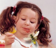 Mit dem neuen Transpatec haben Insekten keine Chance.