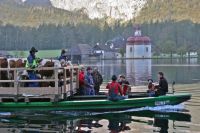 Heimfahrt über den Königssee, im Hintergrund St. Bartholomä. Copyright: Kerstin Mattys