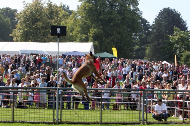 Dog Event steigt in Düsseldorf