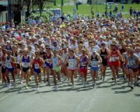 Bildmaterial: Sport erhöht den Bedarf an B-Vitaminen erheblich Bildmaterial: Sport erhöht den Bedarf an B-Vitaminen erheblich