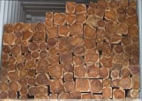 Gefragt und immer wertvoller: Tropisches Hartholz