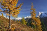 Wandern und Wedeln im goldenen Tiroler Herbst (© Paul Sürth)