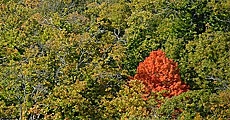 Korsika im September und Oktober: Verlängern Sie den Sommer mit viel Sonne, Strand, Bergen und Meer Korsika im September und Oktober: Verlängern Sie den Sommer mit viel Sonne, Strand, Bergen und Meer