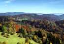 Bayerischer Wald Landschaft Bayerischer Wald Landschaft