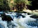 Wildbach in Bayern Wildbach in Bayern