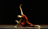 Foto: Dimo Dimov/Das Ballett der Wiener Staatsoper und Volksoper