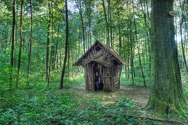 5. Internationaler Waldkunstpfad: Freiheit und Wildnis 5. Internationaler Waldkunstpfad: Freiheit und Wildnis